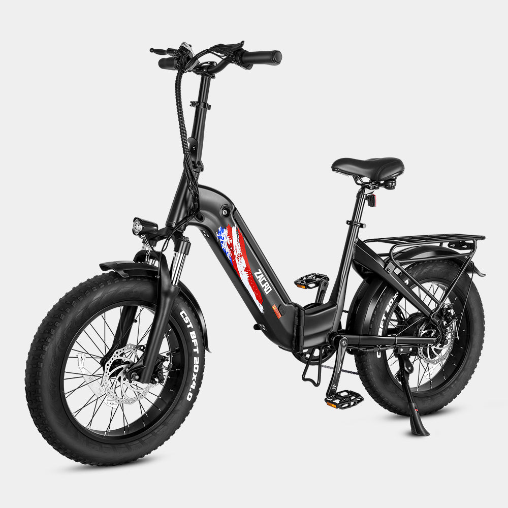 Fat Tire Electric Bike