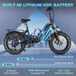 Fat Tire Electric Bike
