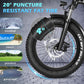 Fat Tire Electric Bike